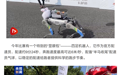 机器狗“职业”再加一：2024杭州马拉松首次启用四足机器人配速员
