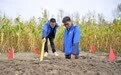 科技创新助力白浆土旱田产能快速提升