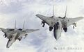 海军版F-15N：其实F-14在刚诞生时曾遭遇过F-15的挤兑