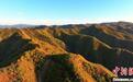 红叶满山秋意浓 山西昔阳秋景美不胜收