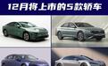 纯燃油车仅1款！这5款轿车将在12月内上市，你会买哪台？