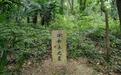评论丨柳永假墓碑21年不拆，打造旅游IP不能巧立名“墓”