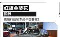 这才是中国人的高端行政轿车！红旗国雅正式上市140万起