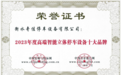 衡水奇佳：荣膺两大殊荣，立体停车领域领航前行