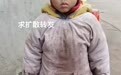 两岁男童回老家3天后蹊跷失踪，近百村民搜寻整晚未果