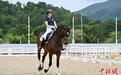 香港马术小将陈萃彦与马儿的盛装舞步