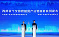 创新性突破！西部首个文旅数据资产运营服务案例发布
