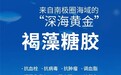 Anico 澳丽康：携“海洋生物黄金”褐藻糖胶，解锁多元健康密码