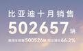 月销量22万台起步！比亚迪、奇瑞、长安、吉利，你更看好谁？