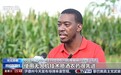 兴农密码！“科技小院”助力非洲农业现代化
