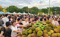 实名羡慕！“花果之城”50余吨水果免费送