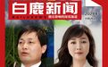 缝纫机巨头破产：董事长遭冒名办卡，女总裁私人账户却净流入超3亿，其丈夫身份特殊