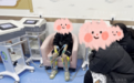 石家庄治疗性早熟/矮小 石家庄六一儿童医院 儿童生长发育专科医院 特色中医增高显奇效