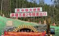 贵州黄百铁路贵州段五星2号隧道出口进洞