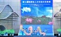 第七届进博会丨人文交流活动丰富多彩