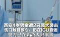 4岁男童遭恶犬袭击住进ICU，狗咬人为何就管不住？