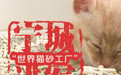 “城”势而上｜宁城进军“世界猫砂工厂”