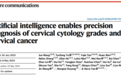 新研究成果：AI宫颈癌筛查系统助力提升诊断准确性和效率