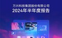 万兴科技2024年半年报：营收7.05亿元 视频创意线营收4.61亿占比超65%