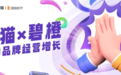碧橙数字携手品牌实现确定性增长，再创电商大促佳绩