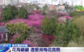 春日盛景画卷繁花似锦醉游人 春天里的中国“万紫千红”振奋人心