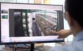 山东德州：电气化助推特色农业产业升级
