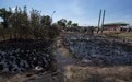 尼日利亚油罐车爆炸事故死亡人数升至153人
