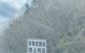 广东一高速路立“华南虎廊道禁止鸣笛”标牌，多方回应