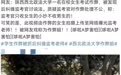 女大学生作弊被抓，反拍视频曝光监考官？校方回应