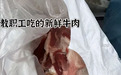 郑州一学校教职工吃鲜肉却让学生吃冻碎肉？官方通报