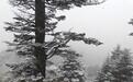 神农架迎来秋天里的第一场雪，比去年晚了13天