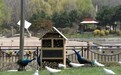 哈尔滨北方森林动物园举办“爱鸟周”活动