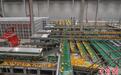 探访赣南脐橙大型加工工厂 日处理鲜橙2500吨