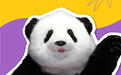 当创意遇见熊猫｜Panda Peace：把真熊猫抱在怀里的感觉
