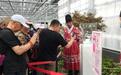 以牡丹花为原材料生物牡丹钻石，中国国花园锦绣馆内璀璨登场