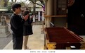 不可接受！张本智和巴黎奥运会前曾与石川佳纯参拜东乡神社