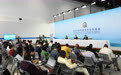 中非合作论坛丨2024年中非合作论坛峰会举行吹风会介绍湖南省对非合作情况