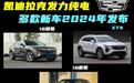 凯迪拉克发力纯电！北京车展上市IQ傲歌，还有全新大六座SUV要来