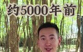 文化中国行丨董臻：一条视频看完良渚5000年时间轴