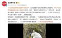 高校回应网红猫被学生掐死：已对虐猫学生批评教育和心理疏导