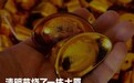 河北农村，如何掌控全球阴间财富？