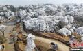 广西苗山雪景如画 民众雪中跳舞赏景