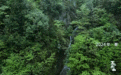 万水千山：在“美酒河”，接力护鱼，触摸跃动的江河脉搏