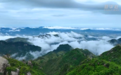 文化中国行｜九华山：缥缈云海景如画 山花烂漫醉游人