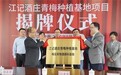梅见牵手大邑县共建青梅种植基地 创造中国梅酒更高品质