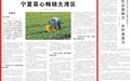 人民日报记者现场探访：贺兰菜心何以畅销大湾区