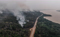 人为因素助燃巴西野火　警方呼吁严惩环境犯罪