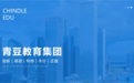 青豆集团的竞争战略：从S2B模式到行业领先的秘密
