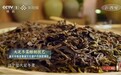 《非遗里的中国》重庆篇：宝顶牌大足冬菜，一味传承千年香