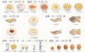 吃山茶油对身体有什么好处？老年群体饮食指南来了